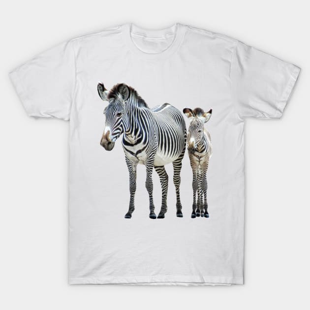 Zebra - Mama with offspring in Kenya / Africa T-Shirt by T-SHIRTS UND MEHR